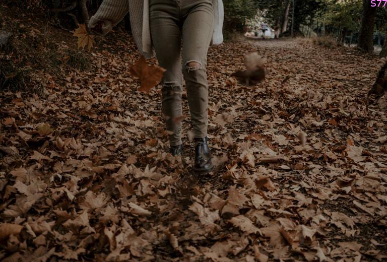 Confort și eleganță combinată